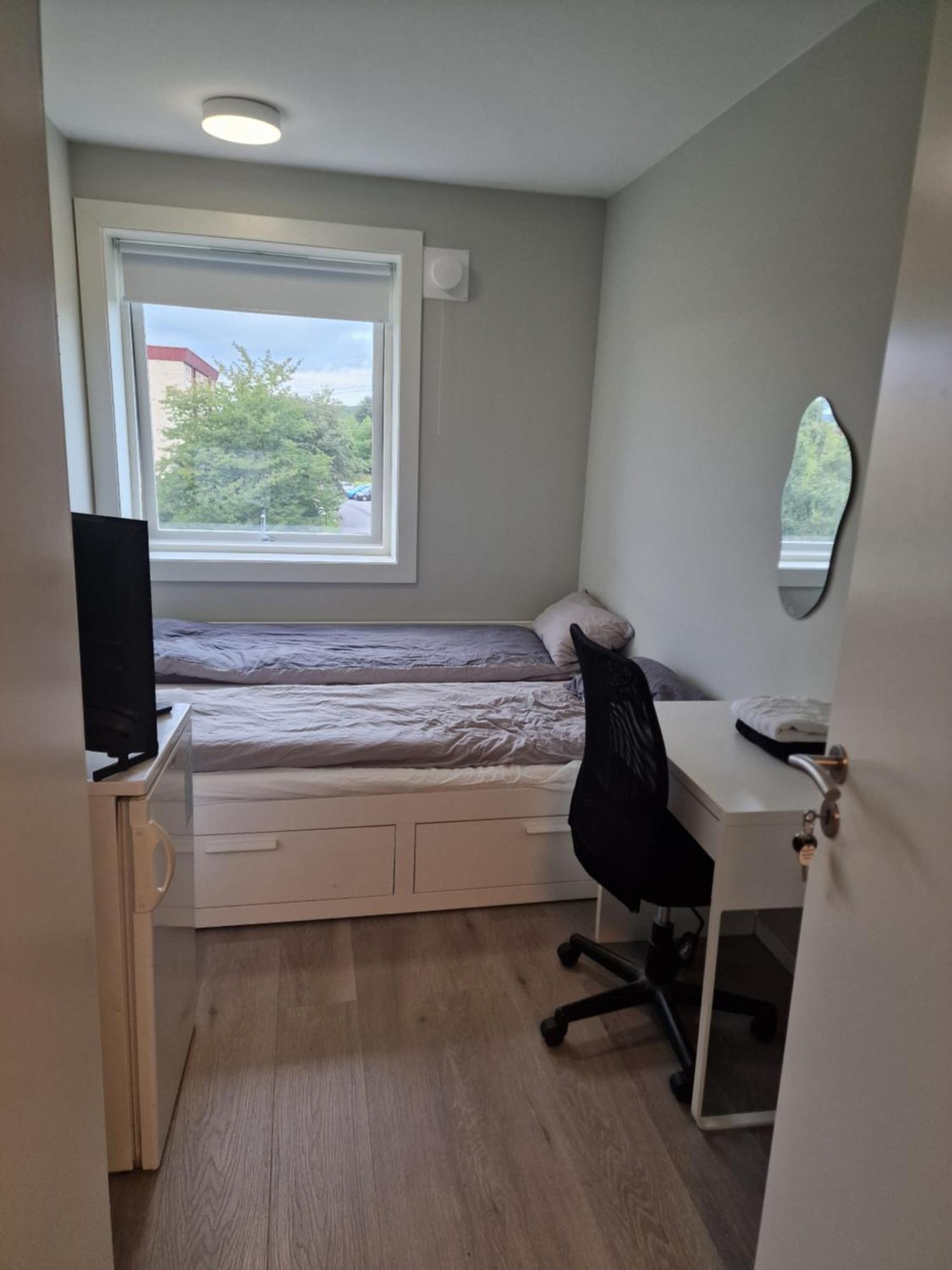 Privat Room In Shared 3 Rooms Apartment Manglerud Όσλο Εξωτερικό φωτογραφία